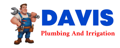 Trusted plumber in PARMELE